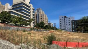 Photo of Ninth and Alder grassy lot of land